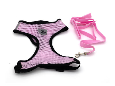 Pink dog harness and leash set on a white background