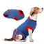 A small dog wearing a blue pet recovery suit with red trim, shown on a white background with a floating alternate view of the recovery suit above.