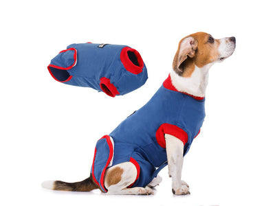 A small dog wearing a blue pet recovery suit with red trim, shown on a white background with a floating alternate view of the recovery suit above.