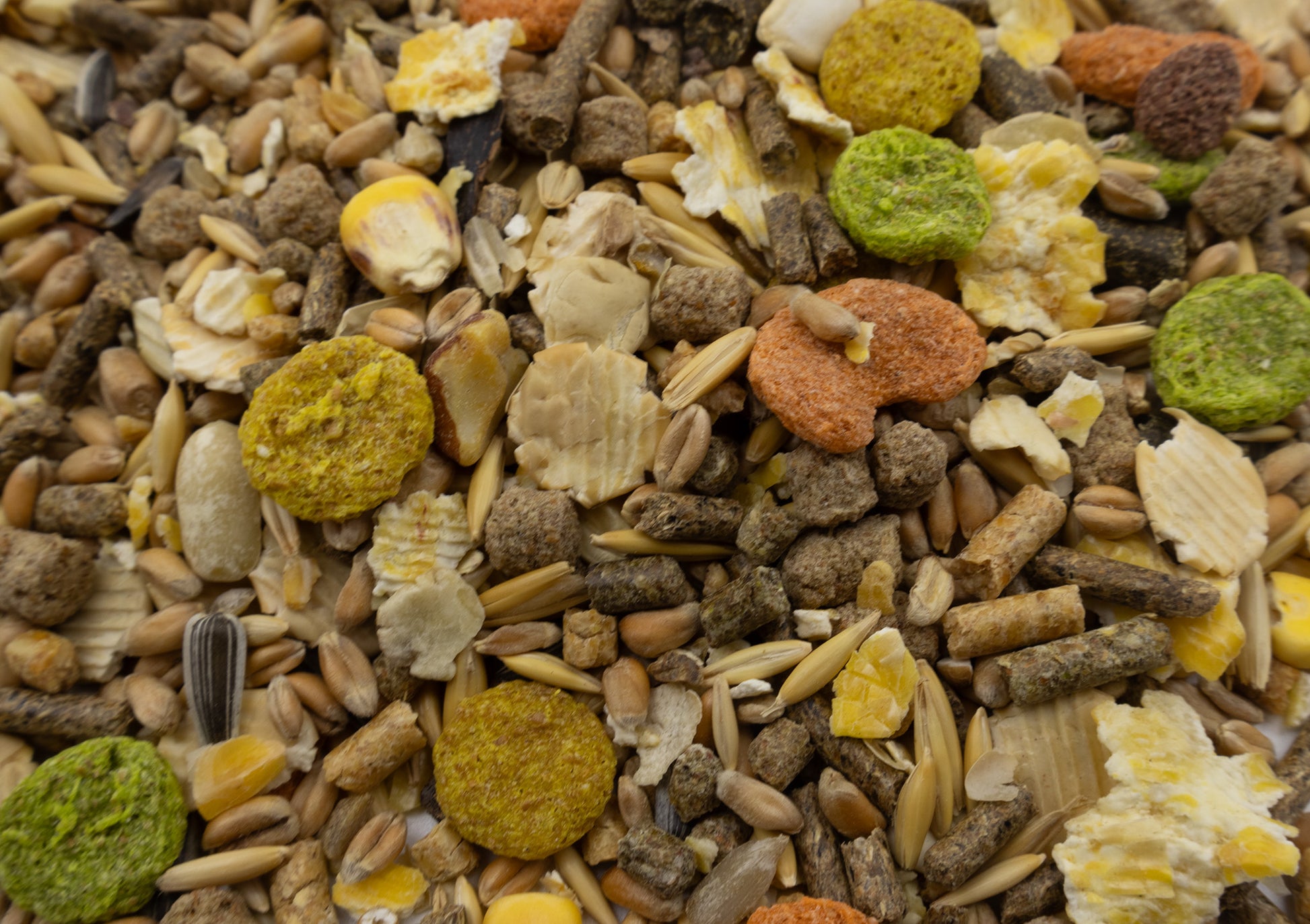 A close up of rat & mouse food