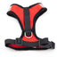 Red dog harness with black straps on a white background
