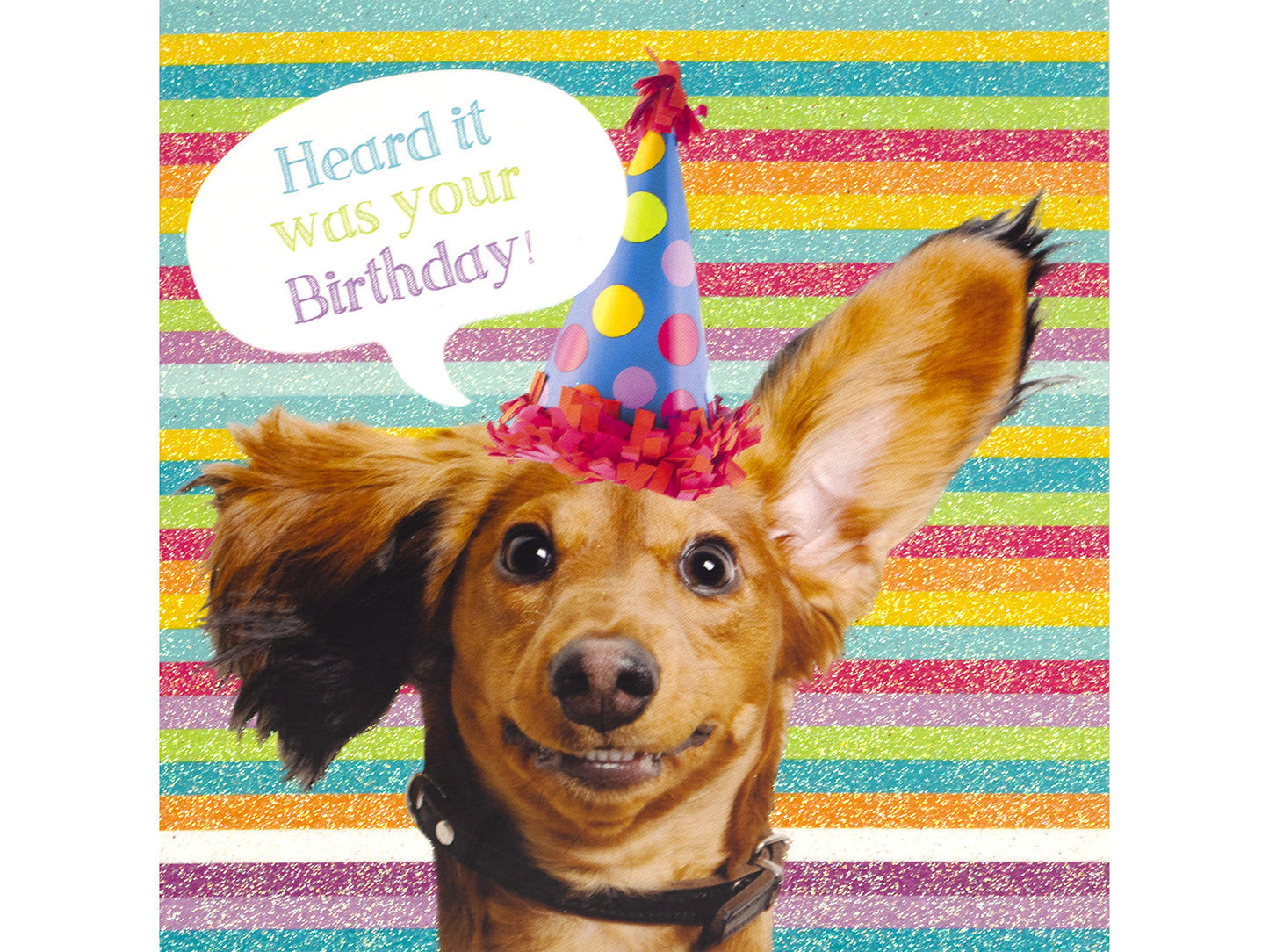 Dog wearing a party hat with a birthday message on a striped background