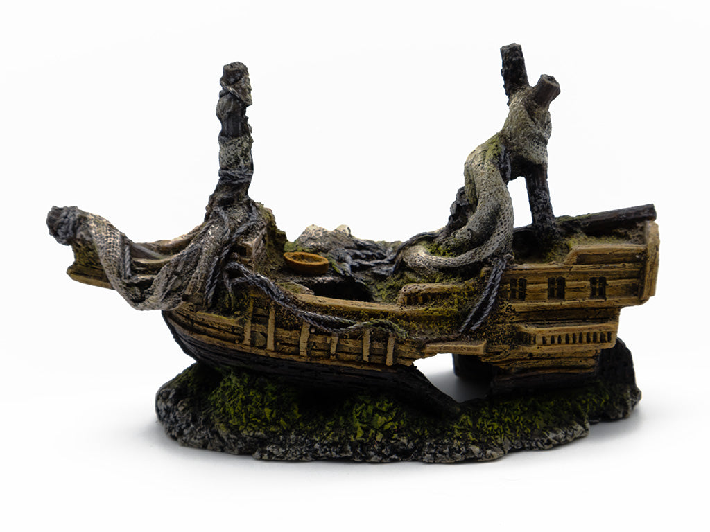 Ship Wreck Fish Ornament
