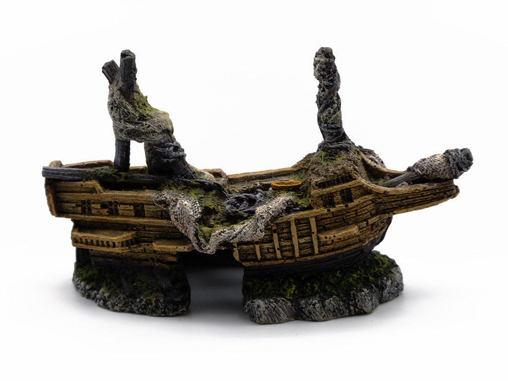Ship Wreck Fish Ornament