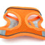 Orange dog harness with reflective stripes on a white background