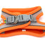 Orange and gray dog harness on a white background