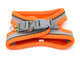 Orange and gray dog harness on a white background