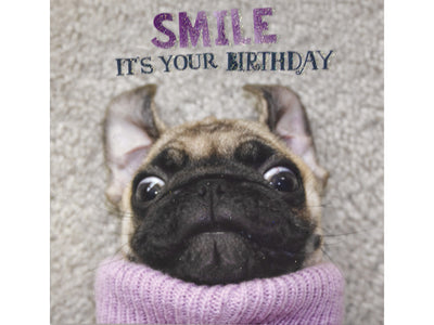 Pug dog wearing a pink sweater with 'Smile, it's your birthday' text on a textured background