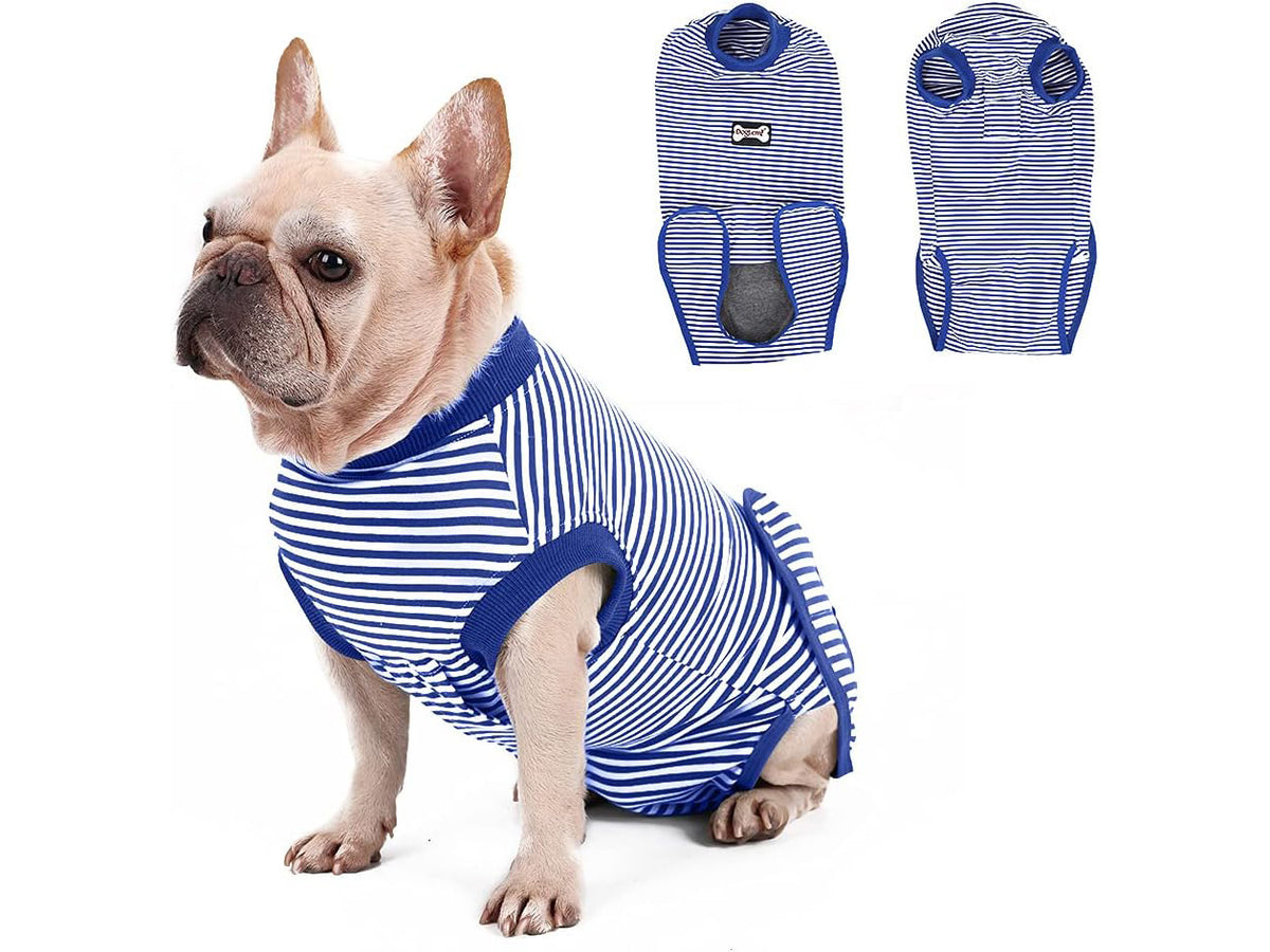 A light fawn French Bulldog wearing a blue and white striped dog recovery suit, shown against a plain white background with two smaller inset views of the recovery suit on the right.