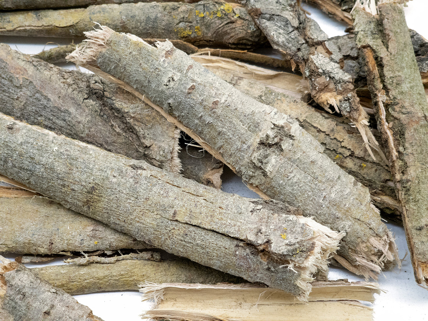 A close up of willow bark