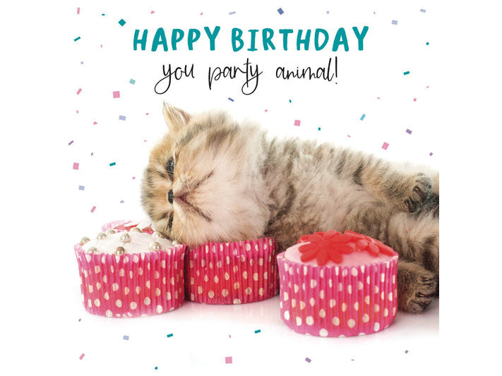 Cat with birthday cupcakes and 'Happy Birthday you party animal!' text on a white background